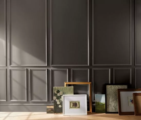 Bm ct26 b01 cover silhouette srgb