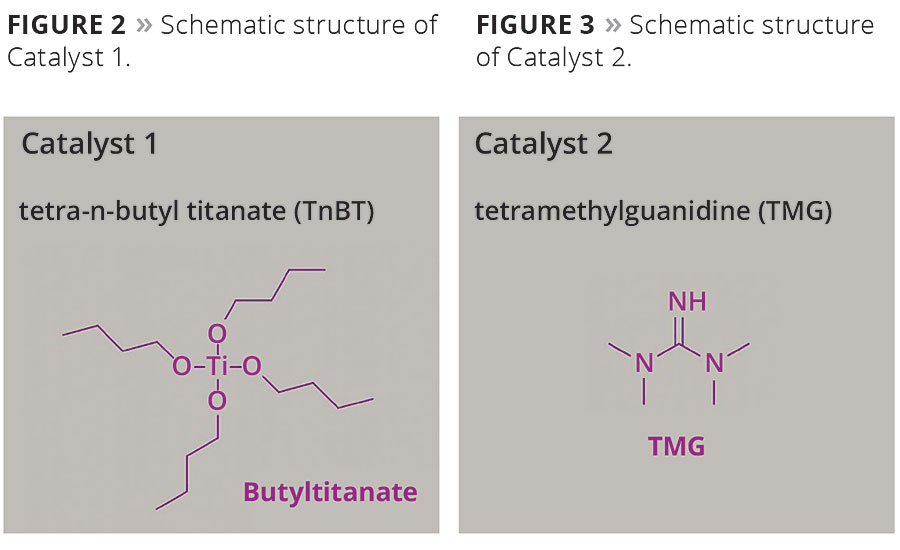 Schematic structure of Catalyst