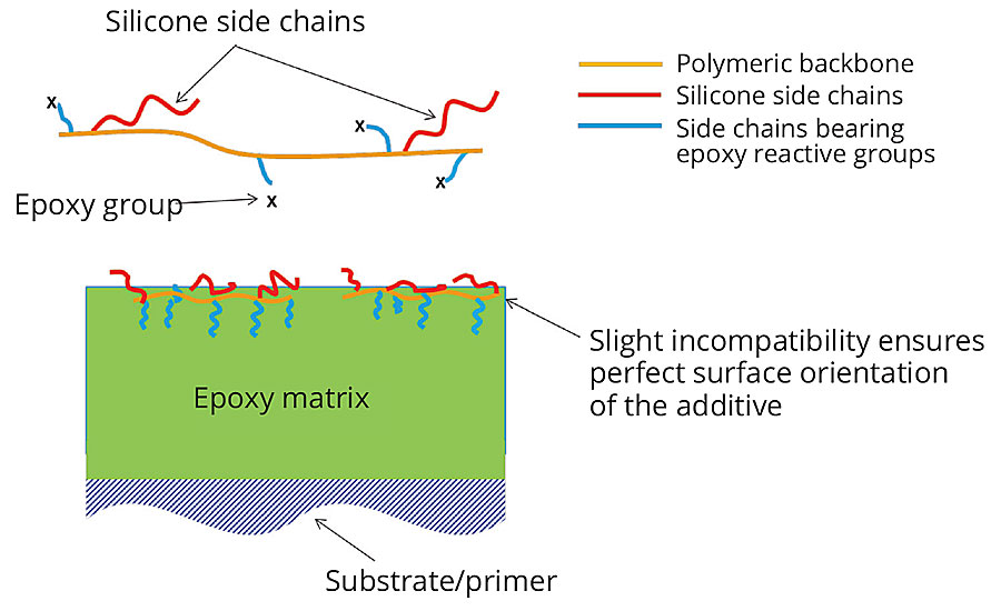 General schematic of the new easy-to-clean additive as well as an illustrative schematic showing its orientation on the surface of a coating.