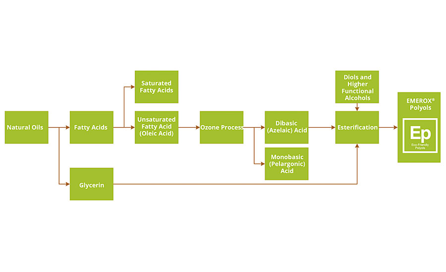 FIGURE 1 » Process flow chart, from natural oils to polyols based on azelaic acid. 