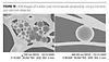 /ext/resources/pci1111-NASA-F10-lg.jpg