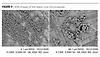 /ext/resources/pci1111-NASA-F9-lg.jpg