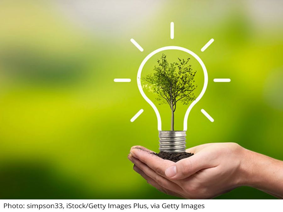 hands holding a plant, with a drawing of a lightbulb around it, and a green background.