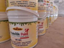 Buckets of Khadi Prakritik Paint, a natural and eco-friendly paint made from cow dung, lime, and natural pigments.