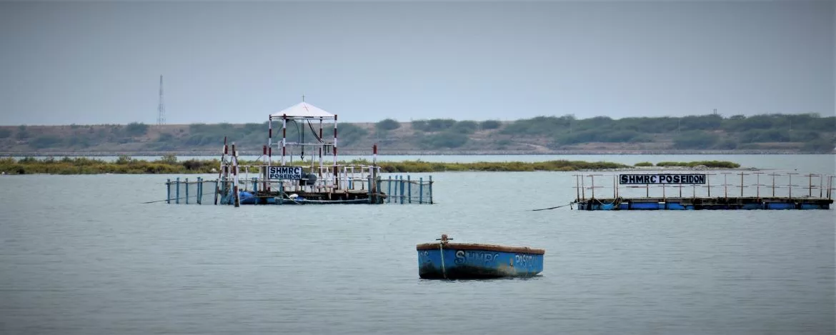 lead image 2020 platforms.jpg