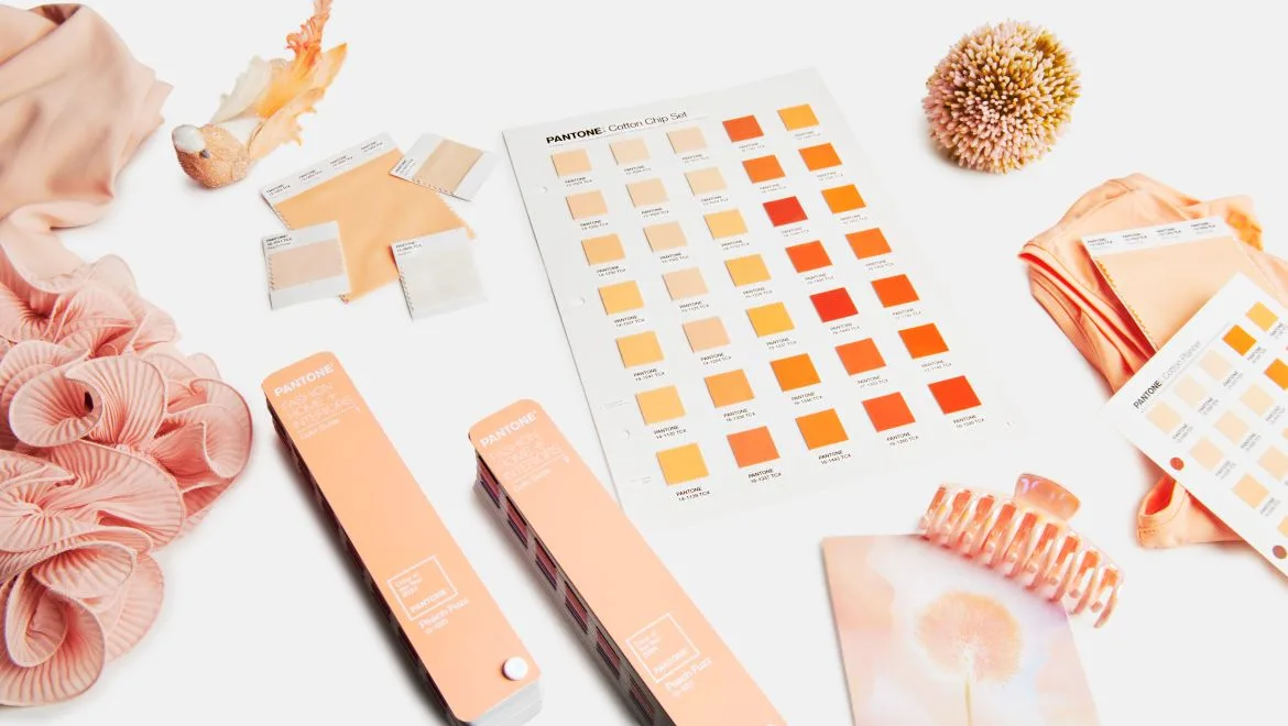Pantone_11_02_23_COY_in_fashion (1).jpg
