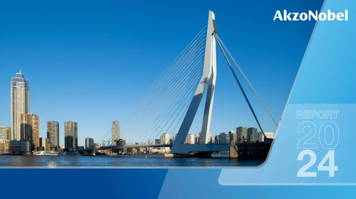 AkzoNobel Annual Report.png
