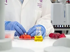 Native-fruit-in-the-UQ-laboratory-(c)-Megan-Pope.jpg