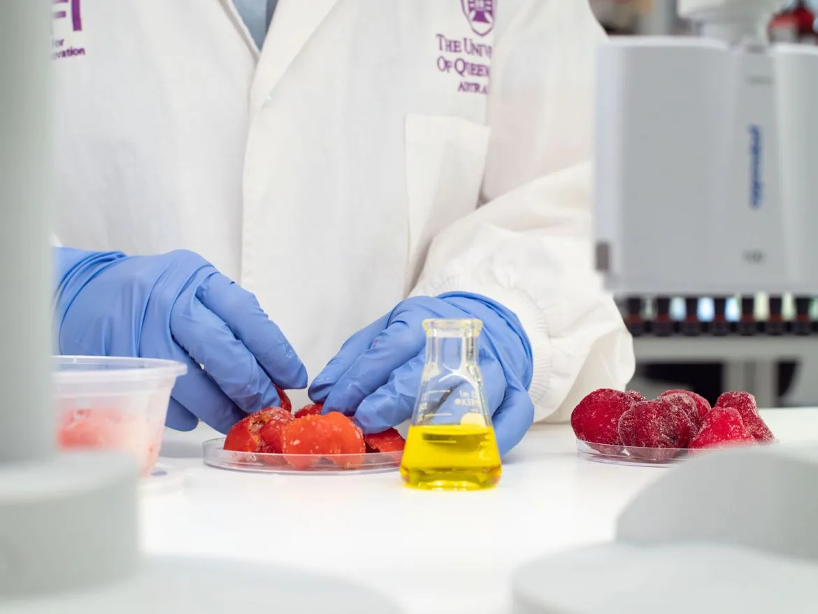Native-fruit-in-the-UQ-laboratory-(c)-Megan-Pope.jpg