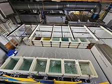 Captec 12 Tank Expansion