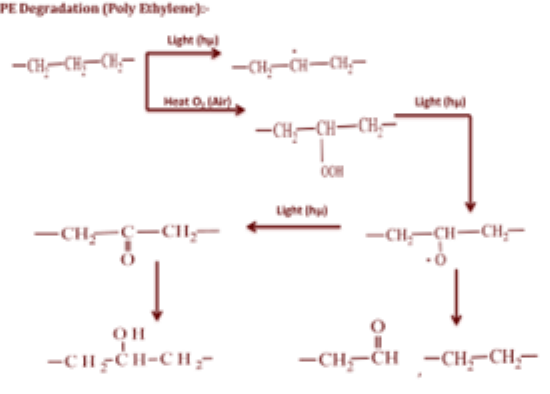 Degradation of polyethylene (PE), polypropylene (PP), polystyrene (PS) and polyethylene terephthalate (PET).