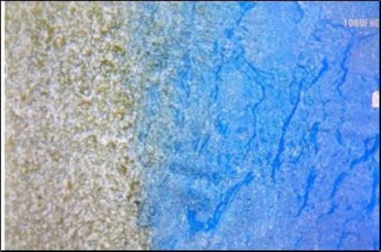 Microscopic image of a visco-elastic product.