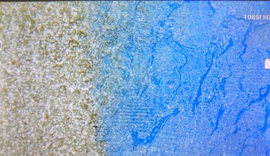 Microscopic image of a visco-elastic product.