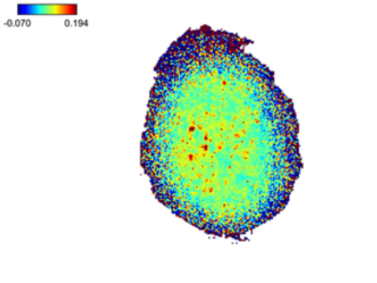 Hyperspectral image of a silicone oil “X” on HDPE. This displays the intensity of IR light reflecting off the surface.