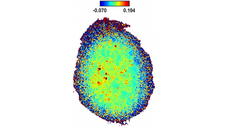 Hyperspectral image of a silicone oil “X” on HDPE. This displays the intensity of IR light reflecting off the surface.