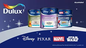 AkzoNobel Disney