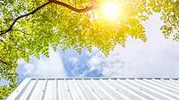 Lead Image-building roof in a hot environment Alt text: Big green tree protection over house roof from uv sun for cooling home