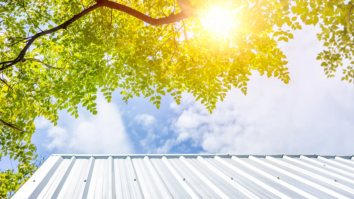 Lead Image-building roof in a hot environment Alt text: Big green tree protection over house roof from uv sun for cooling home