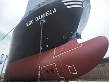 MSC daniela