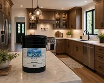 EVO Ray in Kitchen