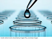 Additives.jpg Additives.jpg