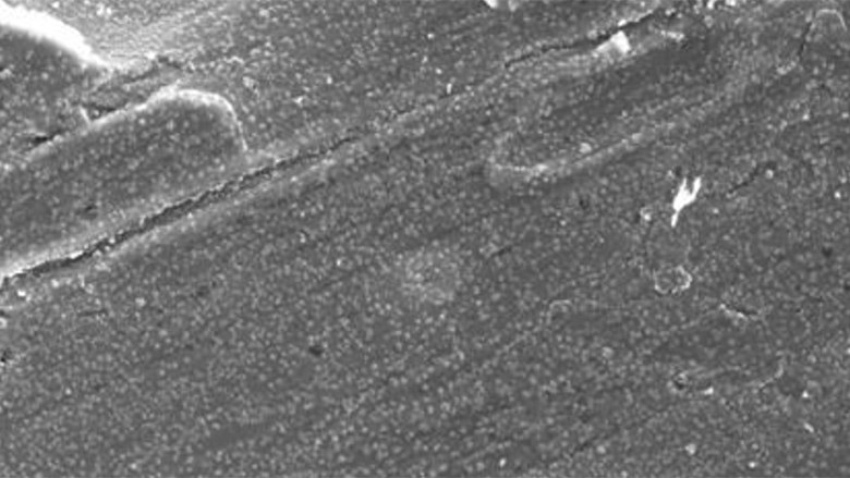 	
Cold-rolled steel surface treated with a zirconium-based conversion coating