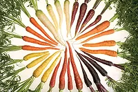 cellulose nanotechnology