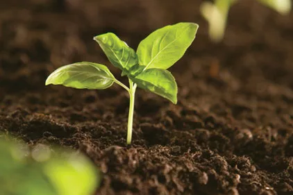 Bio-based Industry news feature