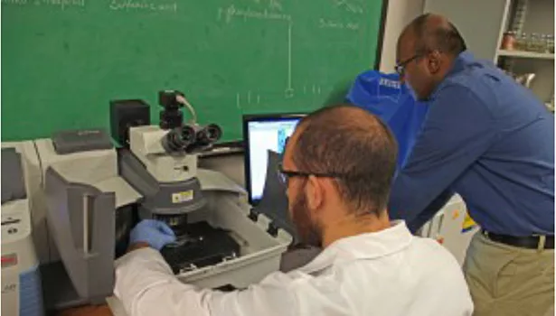 University of Nevada slide