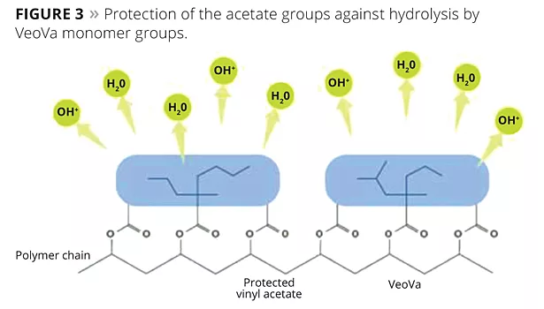 protection of the acetate groups against hydrolysis by VeoVa monomer groups