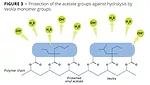 protection of the acetate groups against hydrolysis by VeoVa monomer groups