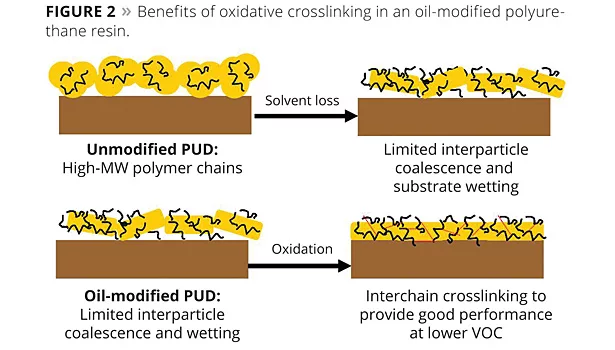 benefits of oxidative crosslinking