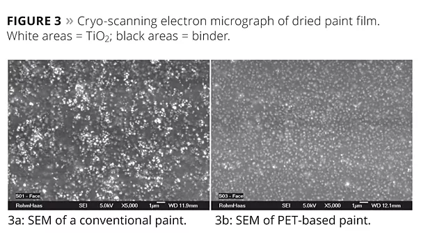 cryo scanning electron micrograph of dried paint film