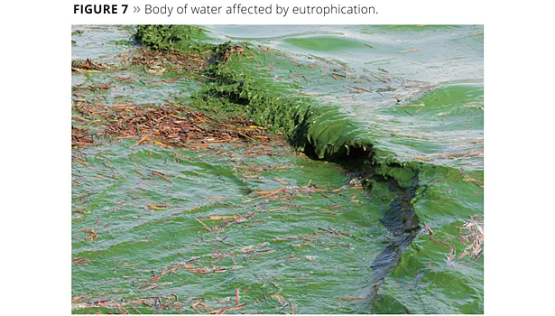 New Development in Penniman Red Production