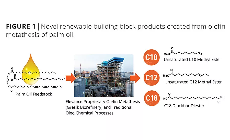 Natural Oil Metathesis Unlocks High-Performance Building Blocks for Waterborne Coating Additives and Polyurethane Dispersions
