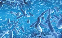 Conventional Microbiology and the Truth