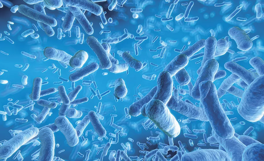 Conventional Microbiology and the Truth