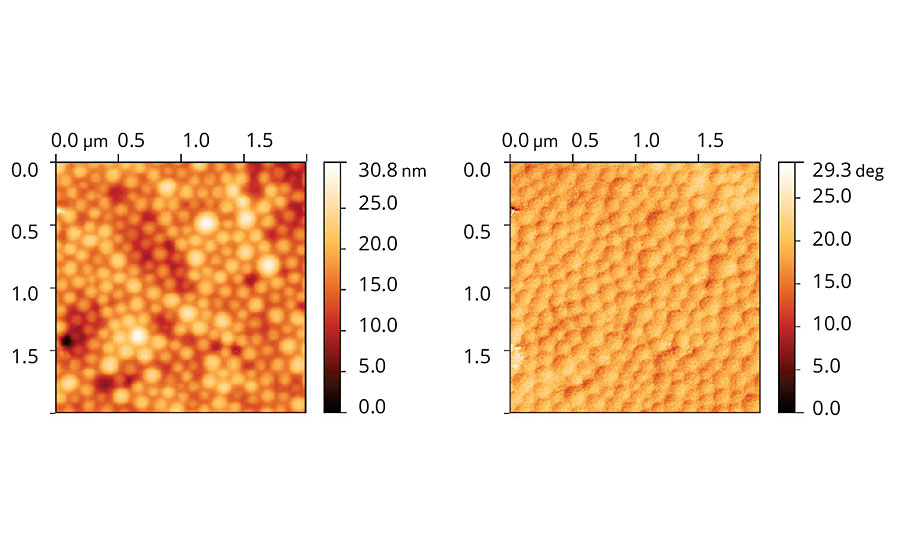 Topographic (left) and phase (right) images of acrylic latex film containing Coalescent A.