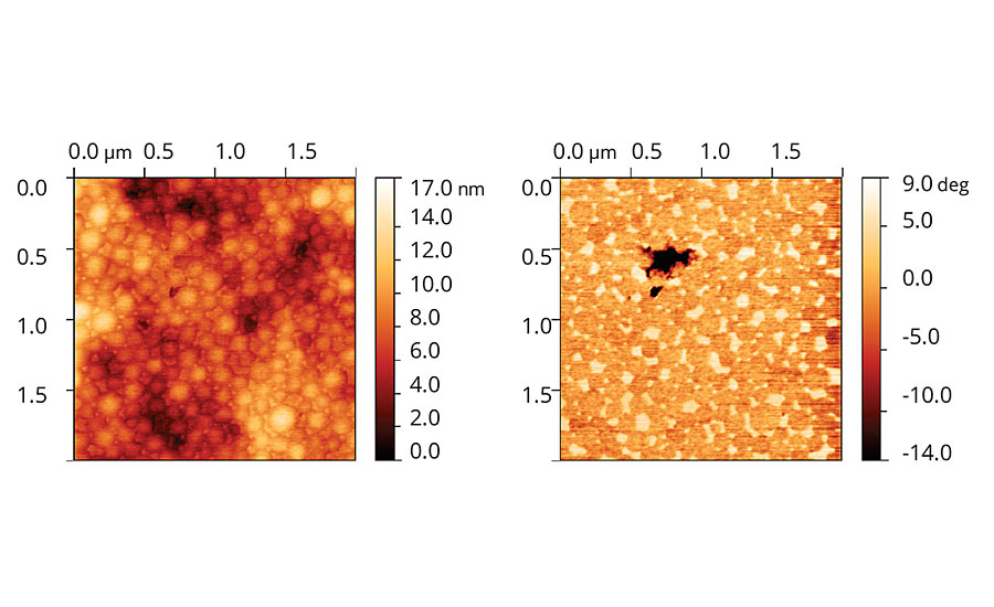 Topographic and phase images of acrylic latex film containing Coalescent B.