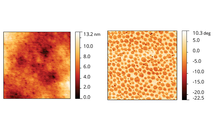 Topographic and phase images of acrylic latex film containing Coalescent C.