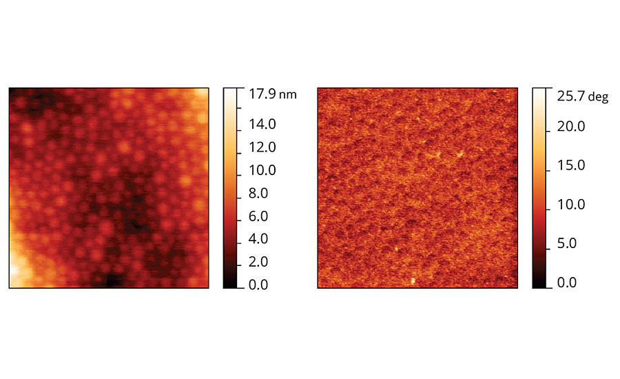 Topographic and phase images of acrylic latex film containing Coalescent D.