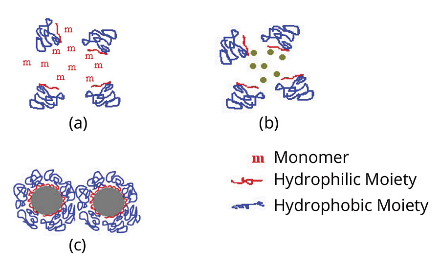 Mechanism of particle formation (a) homogeneous polymerization medium (b) nucleation stage and (c) stabilization of polymeric particles by the added stabilizer