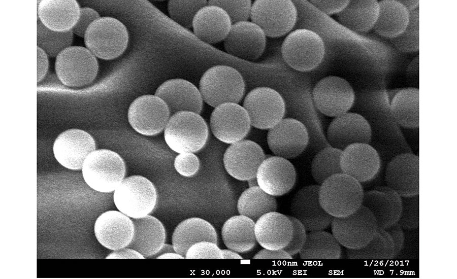 Scanning Electron Microscopy of polymer particles filled with solid active ingredient