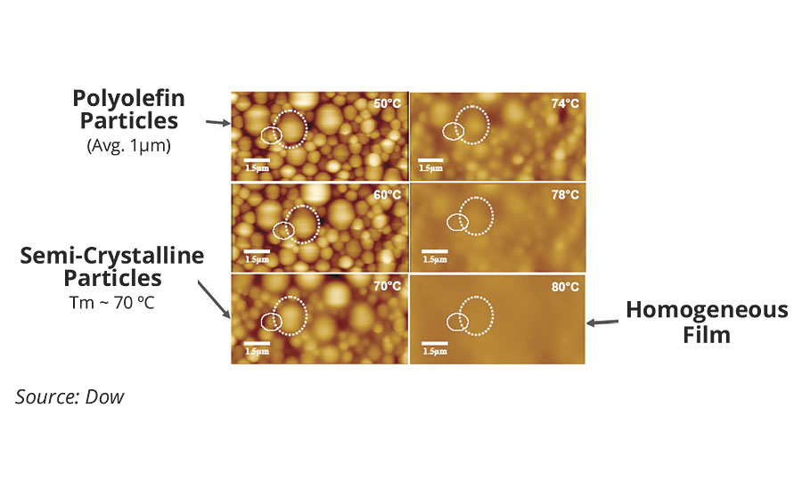 From solid particles to homogenous film, SEM microscopy demonstrates film formation of polyolefin dispersion during the bake phase of can manufacturing