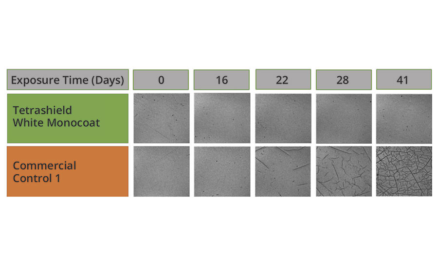 Micrographs of white monocoat systems that were exposed to ultrahigh-intensity UV radiation in SPHERE testing at various time intervals