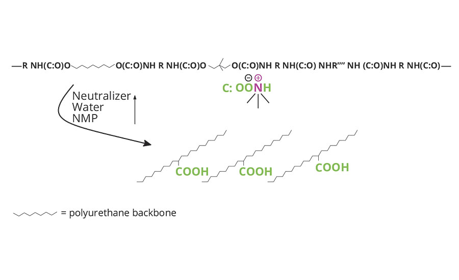 FIGURE 2 » Polyurethane dispersion lacquer dry.