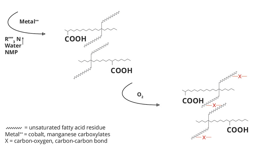 FIGURE 3 » Waterborne OMU crosslinked film formation.