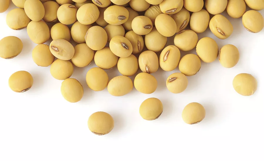 Opening New Market Opportunities with Biobased Powder Coatings