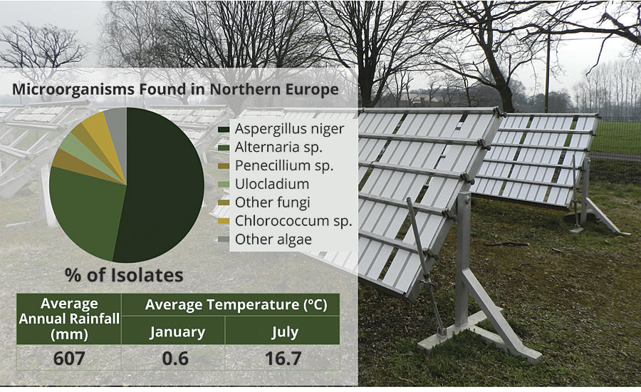 Microorganisms found in Northern Europe