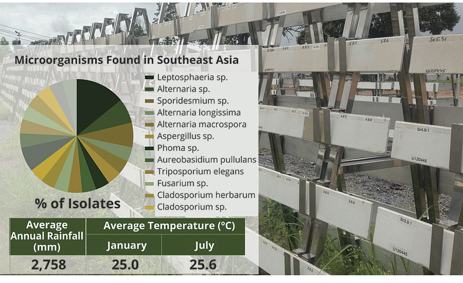 Microorganisms found in Southeast Asia